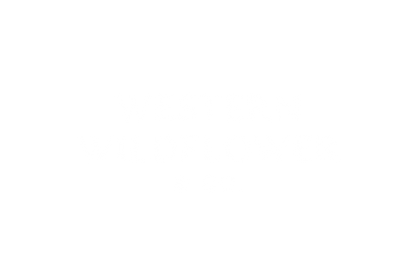 Western Wildflower & Co